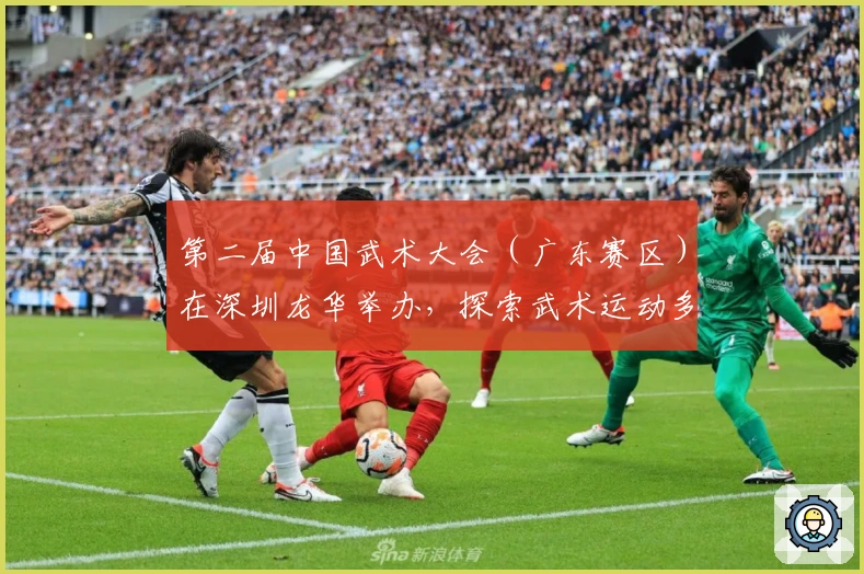 第二届中国武术大会（广东赛区）在深圳龙华举办，探索武术运动多样魅力