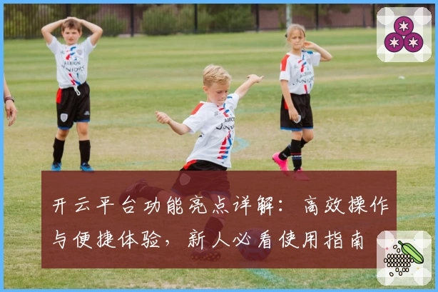 开云平台功能亮点详解：高效操作与便捷体验，新人必看使用指南